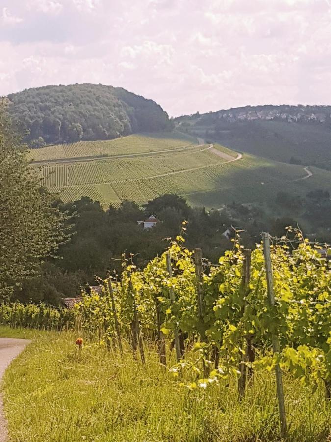 Szafranzimmervermmitung Daire Winnenden Dış mekan fotoğraf